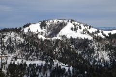 DSCN0454