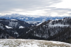DSCN0456