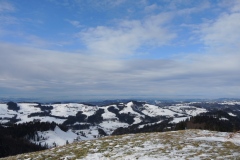 DSCN0462