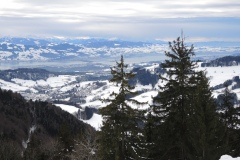 DSCN0467