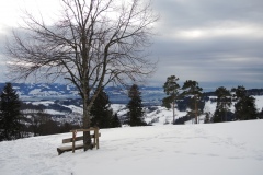DSCN0469