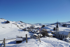 DSC00459
