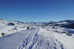 DSC00467