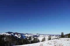DSC00490
