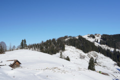 DSC00491