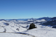 DSC00498