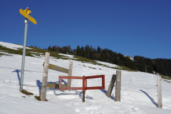 DSC00505