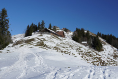 DSC00511