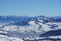 DSC00517
