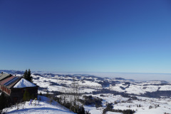 DSC00533