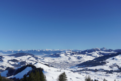 DSC00541