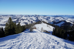 DSC00545