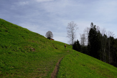 DSC08231
