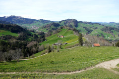 DSC08248