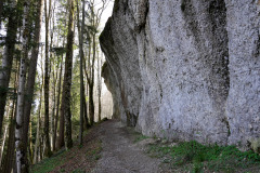DSC08260