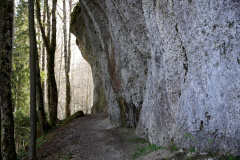 DSC08262