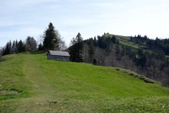 DSC08264