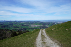 DSC08274