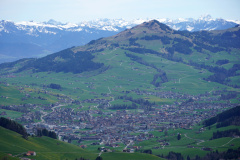 DSC08309