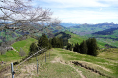 DSC08312