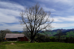DSC08319