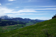 DSC08330