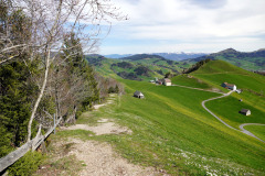 DSC08331