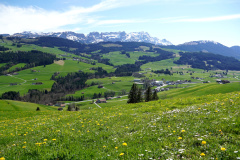 DSC08336