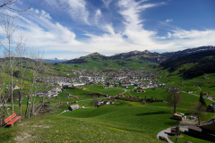 DSC08347