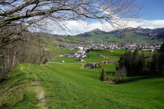 DSC08349