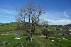 DSC08350