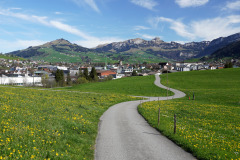 DSC08356