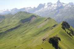 DSCN2241