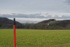 DSCN1544