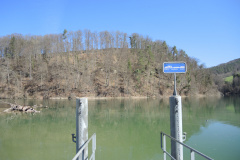 DSCN4219
