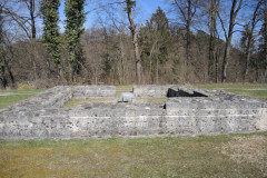 DSCN4222