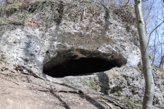 DSCN4228