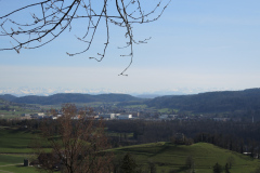 DSCN4246