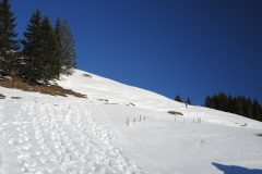 DSCN1907