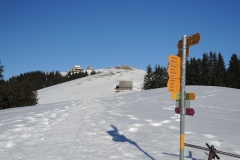 DSCN1911