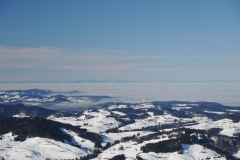DSCN1916