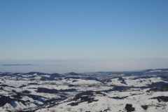 DSCN1923