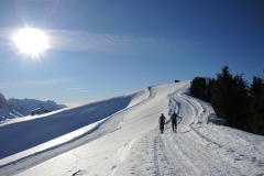 DSCN1930