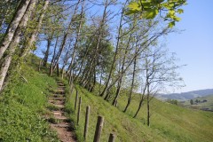 DSCN2681