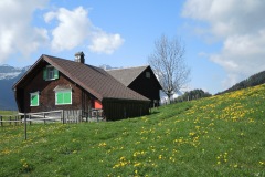 DSCN2682
