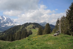 DSCN2684