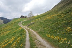 DSCN2692