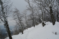 DSCN2295
