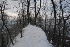 DSCN2304