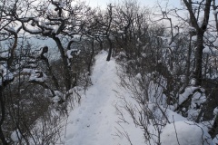 DSCN2306